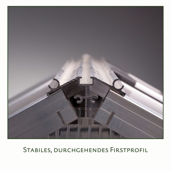 Gewächshaus Callas IV, pressblank – Bild 2