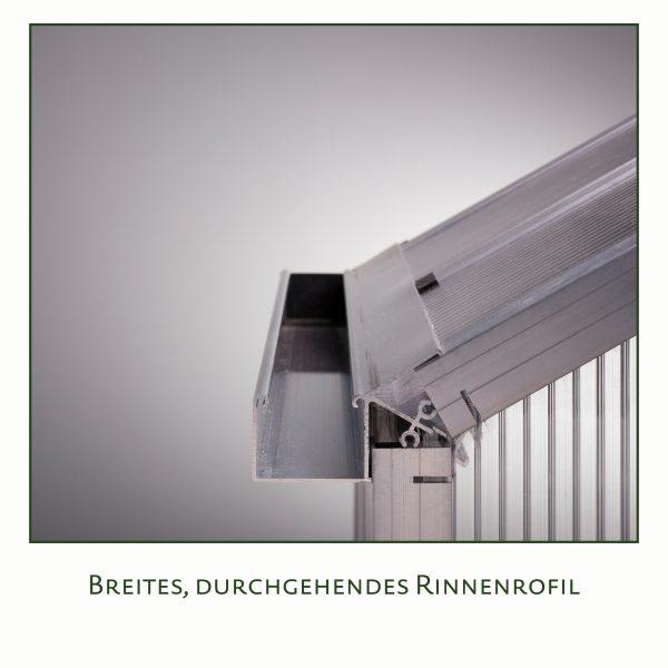 Gewächshaus Callas IV, pressblank – Bild 3