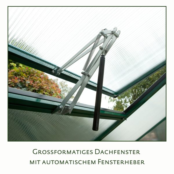 Gewächshaus Callas IV, pressblank – Bild 4