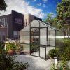 Lily III greenhouse, anthracite-grey
